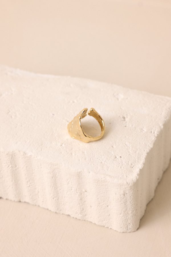 Feathered Thoughts Gold Textured Ring For Cheap - Image 4